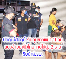 ปลัดแม่สอดนำจับกุมชาวพม่า 11 คน ลอบข้ามมาฝั่งไทย เจอไข้สูง 2 ราย รีบนำส่งรพ.