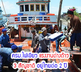 Read more about the article ครม.ไฟเขียว แรงงานต่างด้าว 3 สัญชาติ อยู่ไทยต่อ 2 ปี