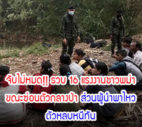 Read more about the article จับไม่หมด!! รวบ 16 แรงงานชาวพม่าขณะซ่อนตัวกลางป่า ส่วนผู้นำพาไหวตัวหลบหนีทัน