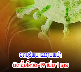 Read more about the article ชลบุรีพบแรงงานพม่าติดเชื้อโควิด-19 เพิ่ม 1 ราย