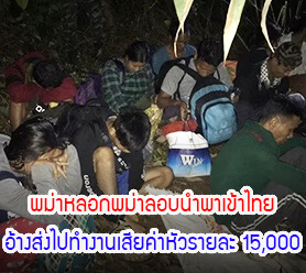 พม่าหลอกพม่าลอบนำพาเข้าไทย อ้างส่งไปทำงานเสียค่าหัวรายละ 15,000