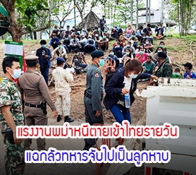 Read more about the article แรงงานพม่าหนีตายเข้าไทยรายวัน แฉกลัวทหารจับไปเป็นลูกหาบ